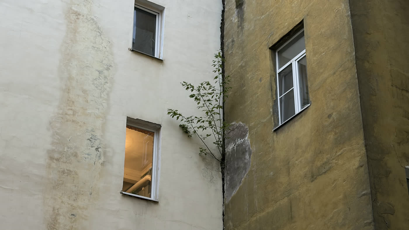 Точка 12